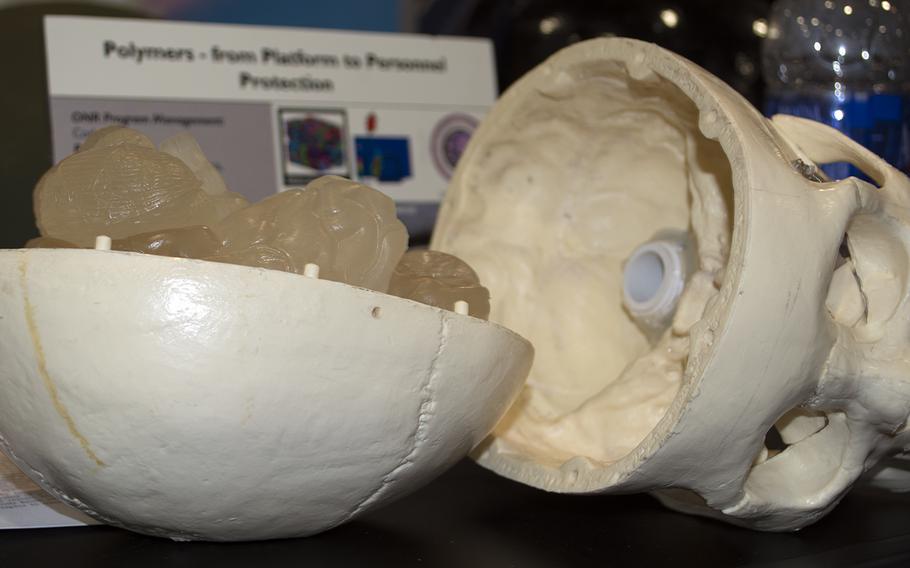Part of the Office of Naval Research, this skull and brain help researchers study Traumatic Brain Injury and build High Strain Rate Sensitive Polymers that are used in military helmets to prevent TBI. 