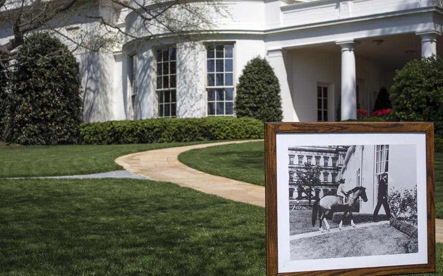 A picture of Caroline Kennedy riding her horse Macaroni is displayed to show the difference between how President Kennedy and now President Obama had the lawn directly in front of the Oval Office of the White House decorated. 