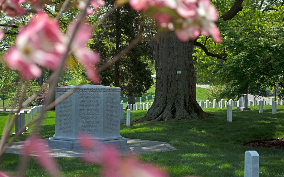 Arlington National Cemetery seen through some Dogwood flowers in May 2014. 