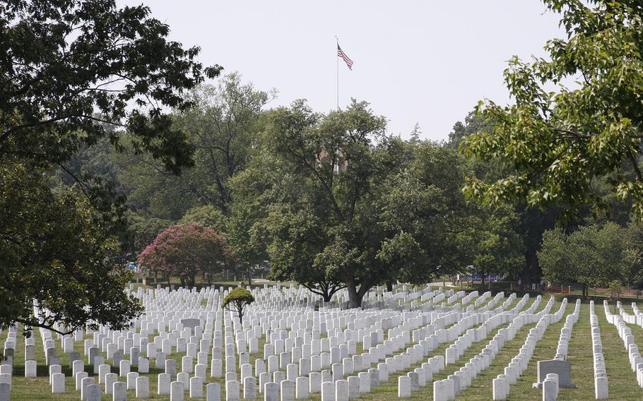 There are 8,500 trees — 300 varieties — spread across the acreage at Arlington