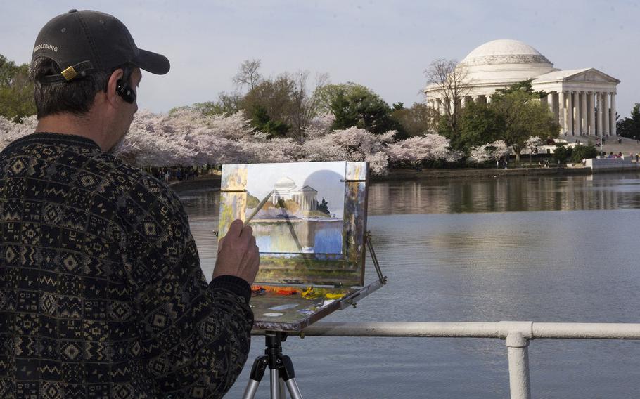 Cherry blossom season in Washington, D.C., April 13, 2015.