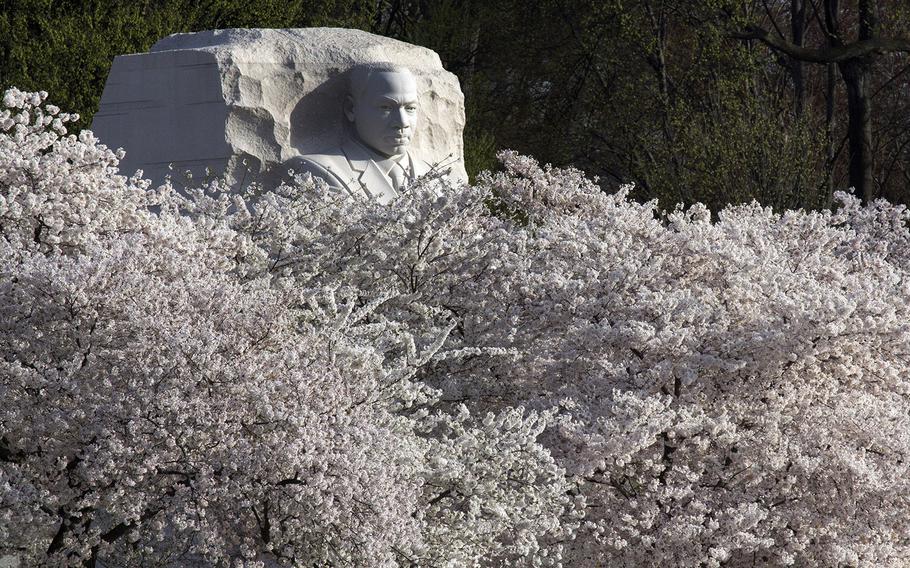 The Martin Luther King, Jr. Memorial, during cherry blossom season in Washington, D.C., April 13, 2015.
