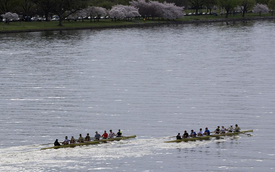 Rowing on the Potomac during cherry blossom season in Washington, D.C., April 13, 2015.