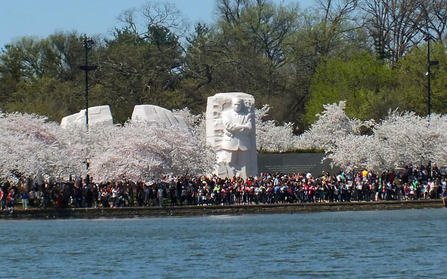 Crowds pack the area around the Martin Luther King, Jr. Memorial at Washington's Tidal Basin on the final Saturday of the National Cherry Blossom Festival, April 11, 2015.