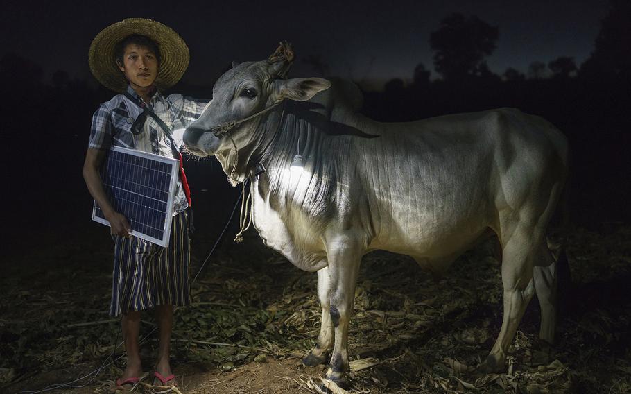 Ruben Salgado Escudero, Portraiture Photographer of the Year | Mg Ko, 20 years old. A Shan farmer with his cow in Lui Pan Sone Village. Kayah State. These portraits depict the lives of inhabitants of remote areas of Myanmar who, for the first time have access to electricity through the power of solar energy. Each subject was asked how having electricity has affected their life. 