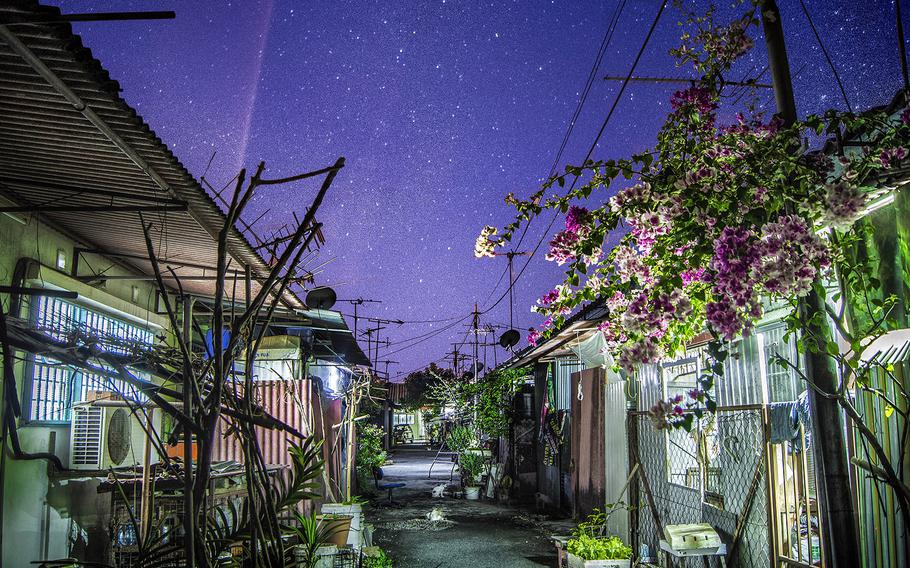 Yong Lin Tan, Youth Photographer of the Year | This is the back alley of my grandmother's house in Alor Setar, Kedah, Malaysia. I shot this during Chinese New Year last year when the sky is the clearest and brightest with stars. A flower plant can also be seen flourishing with limited resources and space, there is a lot of cats wandering around the back alley usually after dinner time, waiting to be fed by the good people around here. 