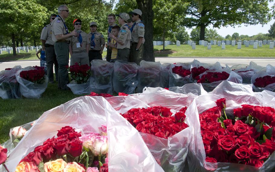 Boy Scouts help lay roses at gravestones at Arlington National Cemetery for Memorial Day on May 24, 2015.