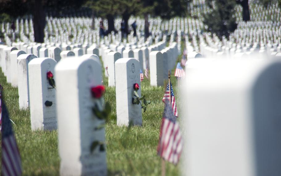 Volunteers laid 88,000 roses at Arlington National Cemetery during Memorial Day weekend on May 24, 2015.