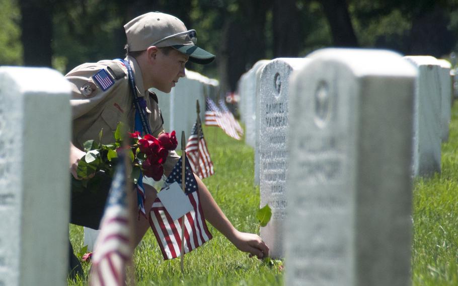 Boy Scout Liam Kellogg of Troop 884 helps lay roses at gravestones at Arlington National Cemetery for Memorial Day on May 24, 2015.