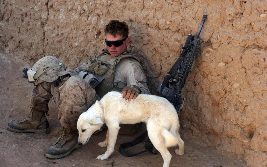 A U.S. Marine with Golf Company, 2nd Battalion, 6th Marine Regiment, Regimental Combat Team 1 pets a dog in a compound during a clearing operation in southern Marjah, Afghanistan, Dec. 2, 2010. The Marines searched for enemy activity and interacted with Afghan citizens. The regiment was deployed to Helmand province to support the International Security Assistance Force. 