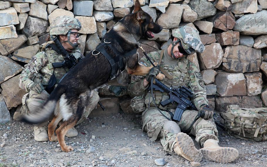 U.S. Army Pfc. Chris Kunze, a cannon crewmember assigned to A Battery, 2nd Battalion, 377th Parachute Field Artillery Regiment, Task Force 4-25, relaxes with his military working dog in Khoni Ghar May 27, 2012.