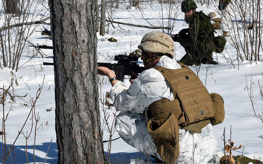 A Marine of the I Company, 3rd Battalion, 25th Marines, based in Johnson City, Tenn., and a member of the 1 Danish Home Guard move up range together during an Arctic Eagle 16 combined arms exercise at Camp Grayling Joint Maneuver Training Center, Mich., April 5, 2016. 