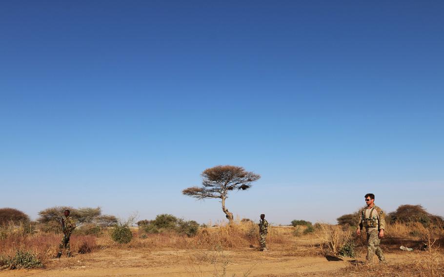 An Army Green Beret with 3rd Special Forces Group (Airborne) practices patrolling techniques with Nigerien soldiers during Exercise Flintlock 2017 in Diffa, Niger, Feb. 28, 2017.