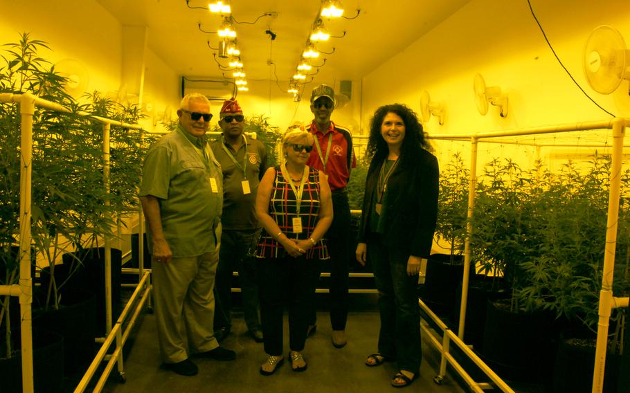 From left, Alabama American Legion members Wayne Stacey, Rico Hall, Donna Stacey and a veteran who didn't want to be named get a tour of a cannabis cultivation site in Reno, Nev. during the Legion's national convention Wednesday, Aug. 23. Sue Sisley, right, a psychiatrist studying marijuana's effects on veterans with PTSD, accompanied them.
