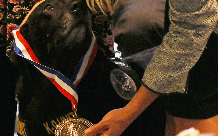 Military working dog Alphie receives a medal at the American Humane's K-9 Medal of Courage Awards on Capitol Hill on Oct. 11, 2017.