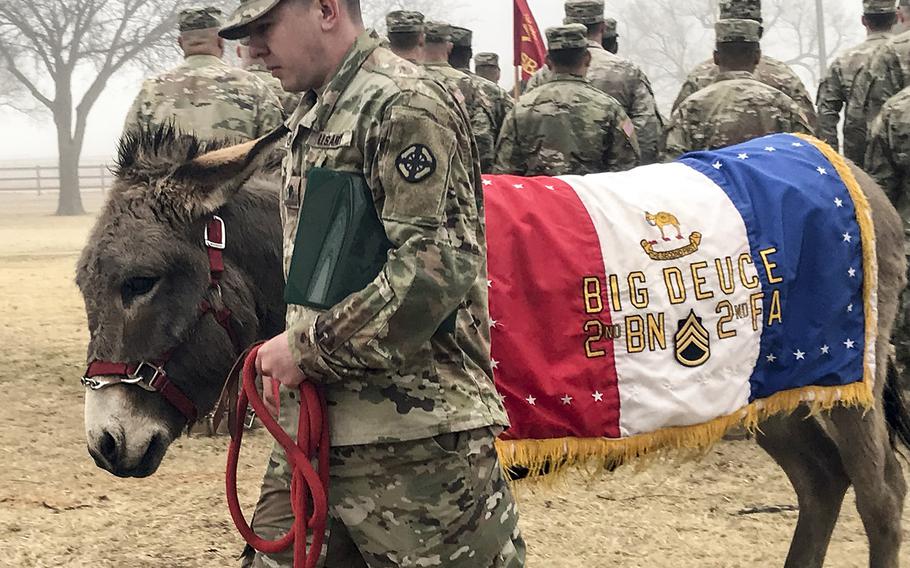 Spc. Stephen Gran, Battery A, 2nd Battalion, 2nd Field Artillery, leads Big Deuce after the donkey's promotion to staff sergeant Feb. 5, 2019, at Fort Sill, Okla. Big Deuce serves as the battalion's mascot alongside a goat named Short Round.