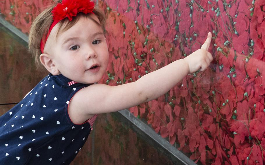 Thirteen-month-old Ava Khoury points out the flowers on USAA's Poppy Wall of Honor on the National Mall in Washington, D.C., May 24, 2019.