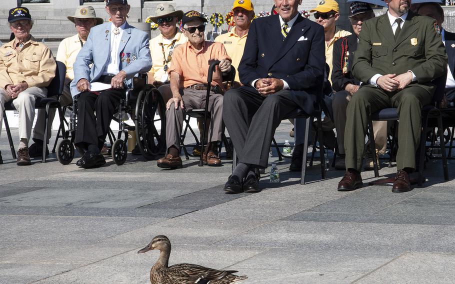 A duck wanders into the ceremony, to the amusement of Friends of the National World War II Memorial Chairman Josiah Bunting III, on Memorial Day in Washington, D.C., May 27, 2019.