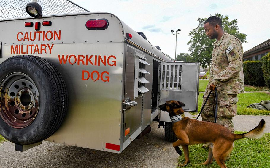 U.S. Air Force Staff Sgt. Noah Medor, 633rd Security Forces Squadron military working dog handler, puts his dog Ali, 633rd SFS MWD, into an evacuation trailer September 5, 2019 at Joint Base Langley-Eustis, Va. The military working dogs were evacuated to Joint Base Andrews, Md., in preparation for Hurricane Dorian.