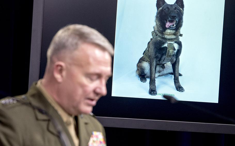 A working military dog is displayed on a monitor as U.S. Central Command Commander Marine Gen. Kenneth McKenzie speaks at a joint press briefing at the Pentagon in Washington, Wednesday, Oct. 30, 2019, on the Abu Bakr al-Baghdadi raid.