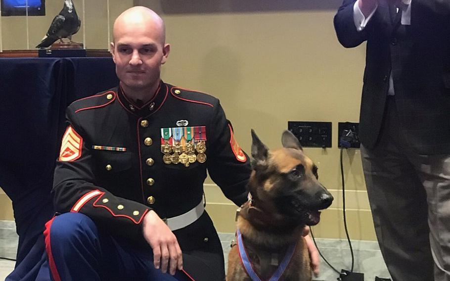 Staff Sgt. Alex Schnell kneels next to Bass, after the dog was awarded the Medal of Bravery for valor in combat.