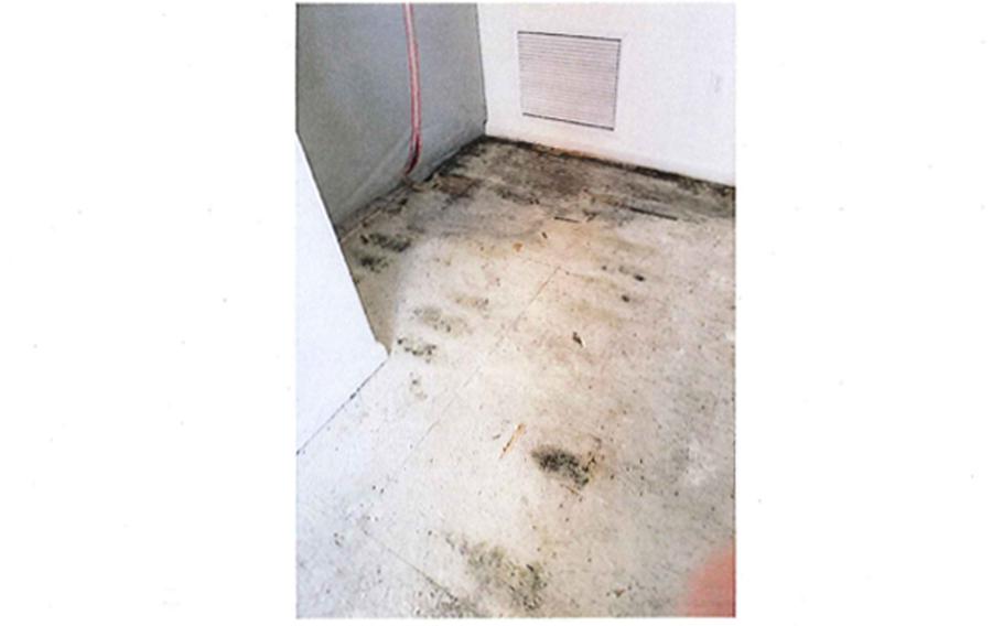 Staff Sgt. Gary Elbon and his family were faced with a leaking HVAC unit that trapped moisture beneath the linoleum flooring in their military housing at MacDill Air Force Base. Despite numerous requests to The Michaels Organization, who was responsible for maintenance, the unit was never repaired, leading to mold growth beneath the family's flooring.