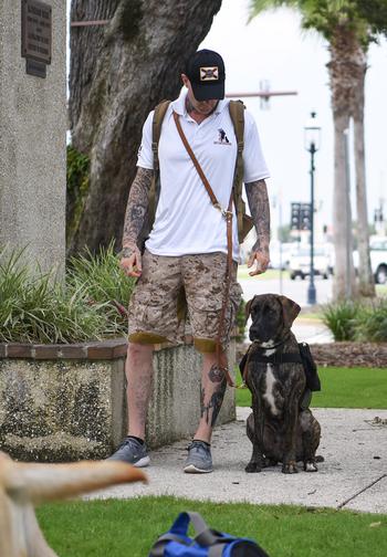 Shai, a service dog, sits for his owner, Damian Jungermann, an Afghanistan War veteran.