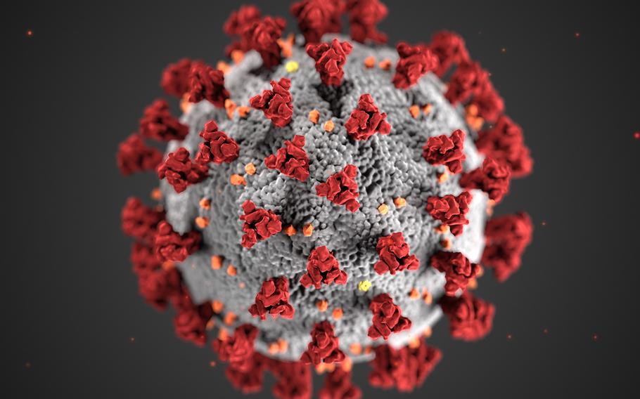 This illustration, created at the Centers for Disease Control and Prevention (CDC),  reveals ultrastructural morphology exhibited by coronaviruses. An unknown future pathogen could have far more devastating consequences than SARS-CoV-2, which cost some 7 million lives and trillions of dollars in economic losses.