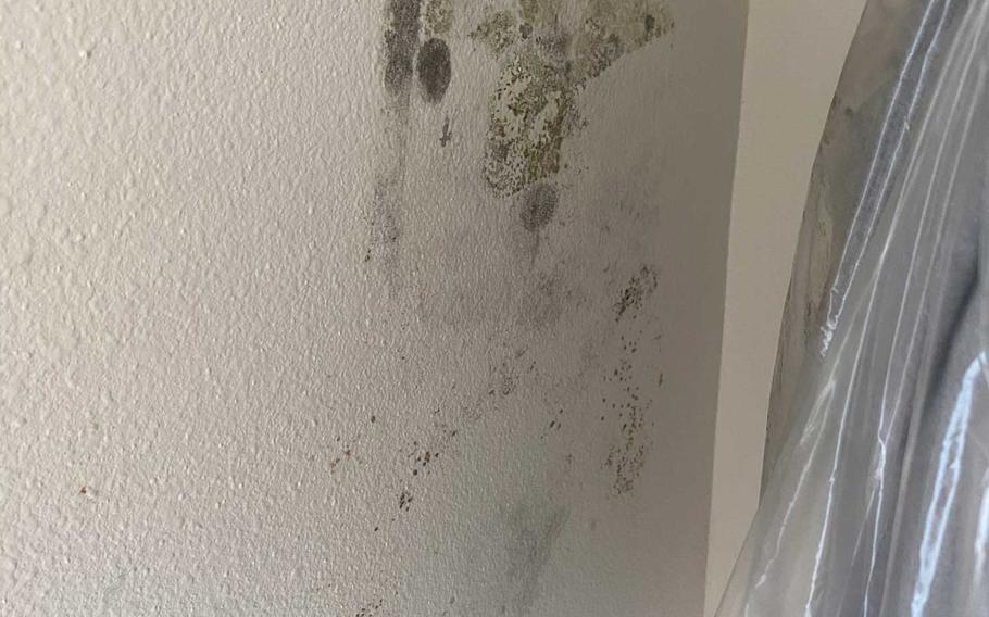 Courtney Hamilton found patches of mold growing last week in an upstairs closet of her home at Fort Hood, Texas, months after she was told the house had been remediated. The Hamiltons are one of nine families to file a lawsuit Monday against private housing company Lendlease because they say their homes had toxic levels of mold due to poor maintenance. 