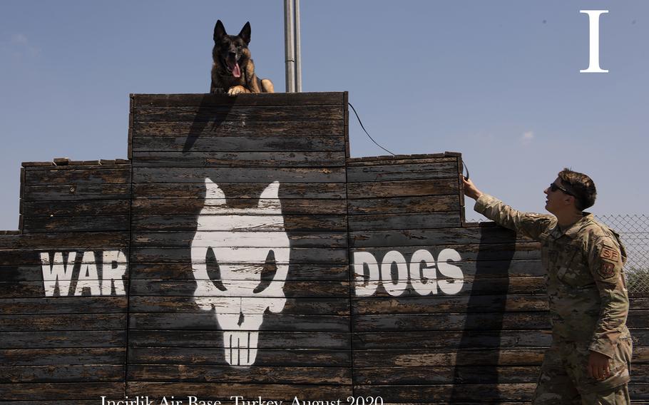 U.S. Air Force Staff Sgt. Rachel Hyde, 39th Security Forces Squadron military working dog handler, practices with MWD Brix on the MWD obstacle training course, Aug. 5, 2020, at Incirlik Air Base, Turkey. Excessive heat or cold conditions can put strain or even injure MWD's, so handlers prioritize their care and work with leadership to ensure their readiness.