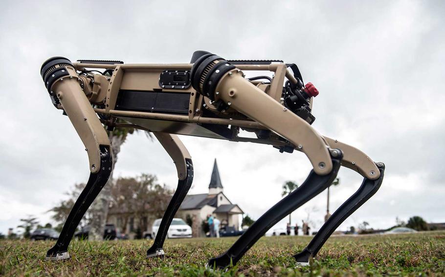 A robot dog stands on the grounds of Tyndall Air Force Base, Fla., during a demonstration held Nov. 10, 2020.