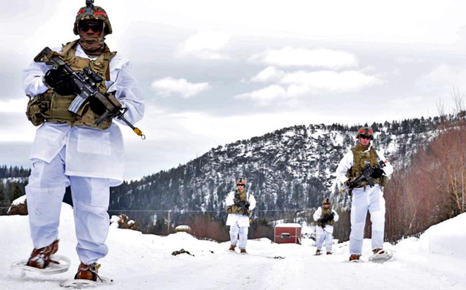 Soldiers of the 173rd Airborne Brigade traverse frigid terrain at Exercise Cold Response in Norway in 2016. The Army wants to set up a new Arctic  brigade, Chief of Staff Gen. James C. McConville  said this week.



