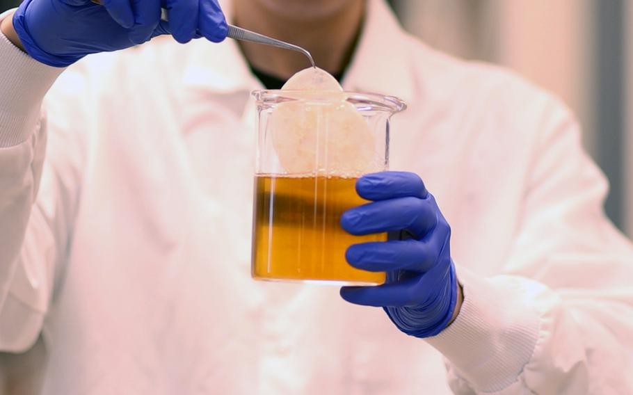 Army-funded researchers used SCOBY, a byproduct of the fermentation process that produces kombucha tea, to develop tough, functional cellulose that they say will have many battlefield applications.

