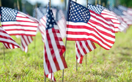 American flags stand in the ground Sept. 1, 2020, outside of the 177th Fighter Wing, Egg Harbor Township, N.J., representative of veteran suicides. A recent Rand Corp. report said that disparities along racial and ethnic lines in regard to suicide attempts warrant Defense Department attention.

