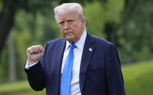 Donald Trump, wearing a dark blue suit and blue tie, gestures with a raised fist in front of a blurred grassy background.