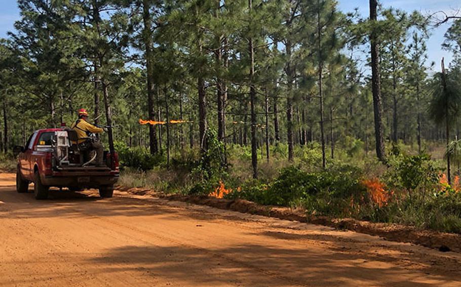 An equipment operator with the Fort Stewart-Hunter Army Airfield Forestry Branch ignites a baseline fire upwind along a dirt road in the installation’s training area, April 23 on Fort Stewart.       