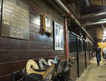 Saddles are on display at the stables at Fort Myer, Va. 