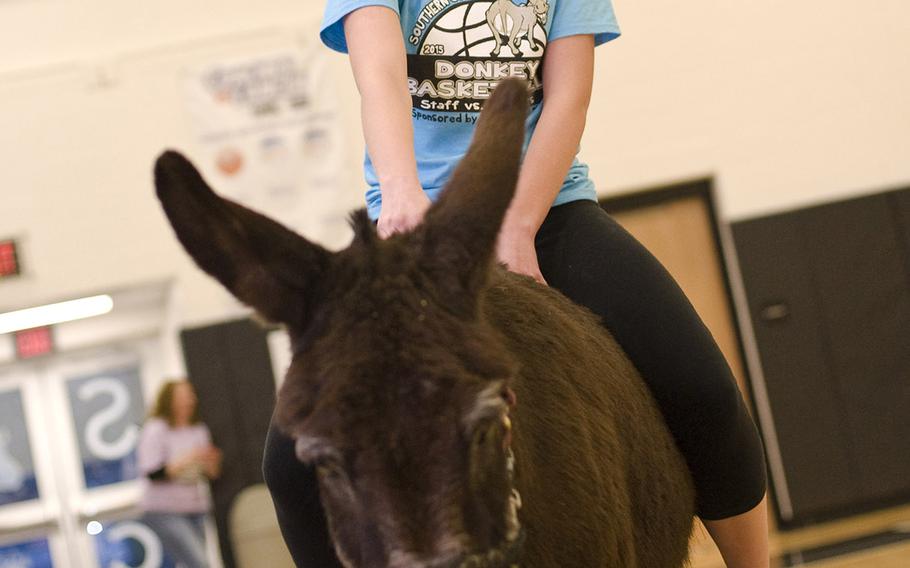 Southern Columbia Area senior Sam Schultz hangs on for dear life while riding a donkey during a game of basketball Thursday, April 9, 2015, in the high school gym near Elysburg, Pa. The comical event featured two teams each of students and teachers in a single-elimination tournament that benefited the class of 2018.