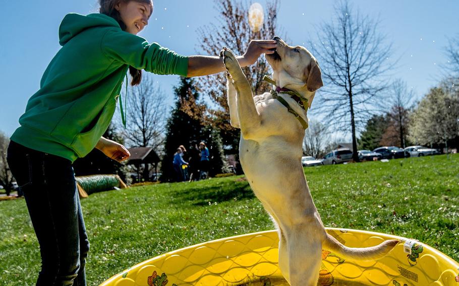 Abby Russell, 12, plays with her dog Haven on April 11, 2015, at the 1st annual PEAK DOG Challenge Event, a fundraiser for PEAK K9s for Kids, where kids and adults with dogs can complete the challenge course in Bridgewater, Va. 