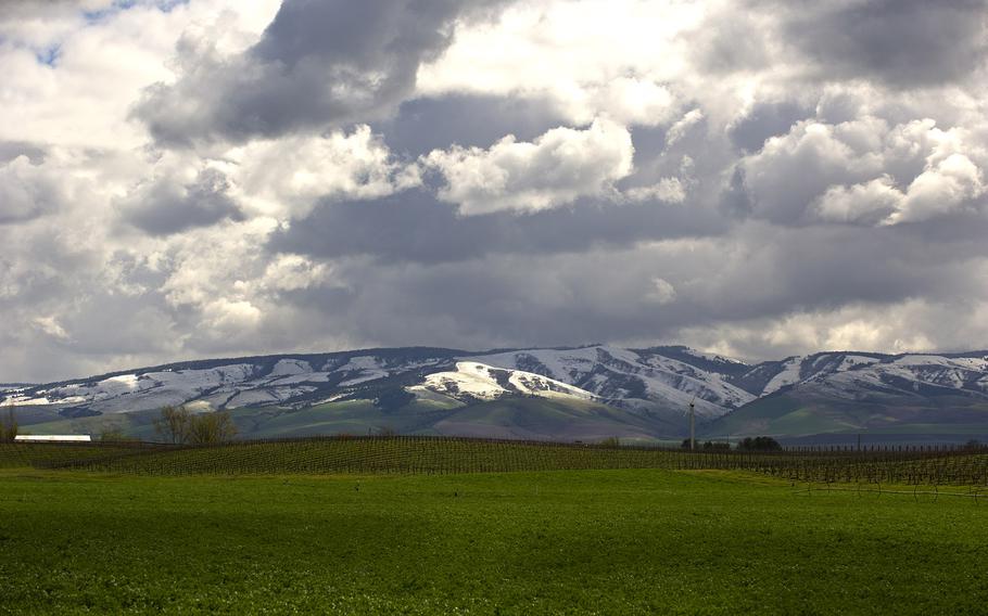 The Blue Mountains are covered in snow on April 14, 2015 in Walla Walla, Wash.