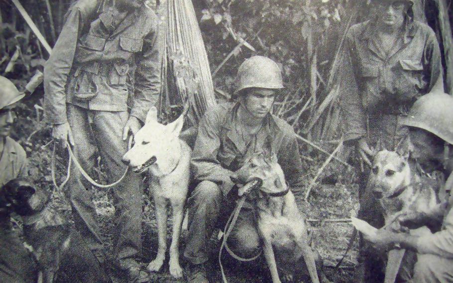 One of the first scout dog patrols to be used on Luzon in WWII. This was a briefing prior to a patrol. 