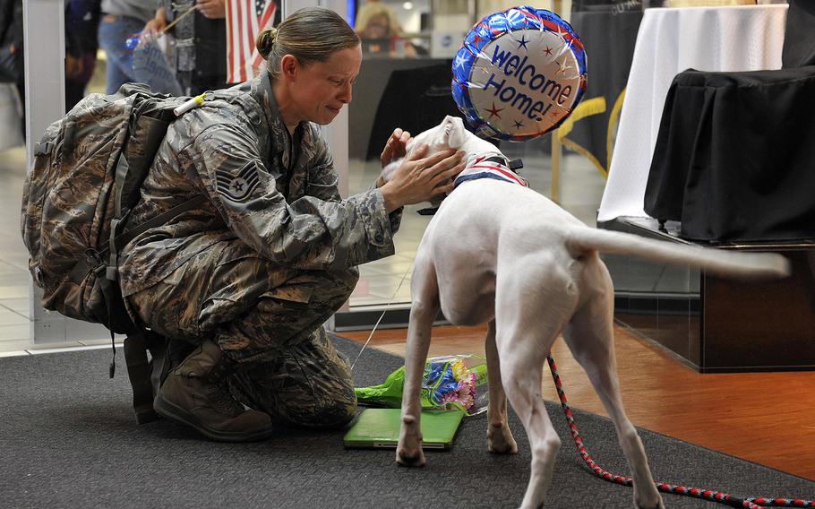Staff Sgt. Arin Vickers, assigned to the 435 Supply Chain Operations Squadron, is greeted by her dog when she arrives at the St. Louis Airport USO, in St. Louis, May 6, 2015. Vickers was gone for six months, and her friends and family were there to greet her and surprise her by bringing along Baxter.