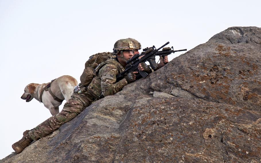 U.S. Army Staff Sgt. Sean Pabey, truck commander, Sgt. James Carlberg dog handler and his dog Staff Sgt. Abby, assigned to 1st Platoon, Apache Company, 3-15th Infantry Brigade, provide overwatch from the mountain tops of Maiden Shar, Afghanistan, Sept. 1, 2013 during operation Apache Shield.  The operation allows U.S soldiers to assist the Afghan Military Police by showing a larger presence on the surrounding mountain tops to deter any enemies of Afghanistan in the area from launching indirect fire onto Forward Operating Base Airborne. 