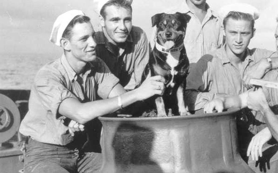 Sinbad and some of his shipmates on board the cutter Campbell in the North Atlantic, 1943. Sinbad was adopted in 1938 by the Coast Guard and quickly became world famous. According the Coast Guard: "He was, literally, a member of the crew, complete with all the necessary enlistment forms and other official paperwork,  uniforms, and his own bunk.  He sailed on board the combat-tested cutter through World War II and saw much action, both at sea and in port." 