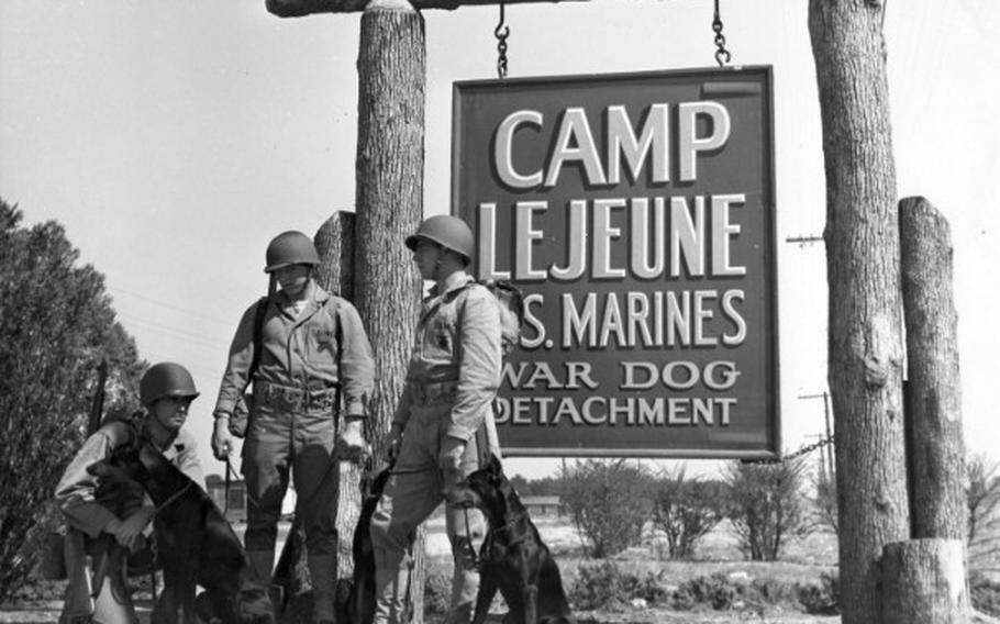 Entrance to the new kennels at Camp Lejeune where canine Marines are put through their boot camp in March 1943.