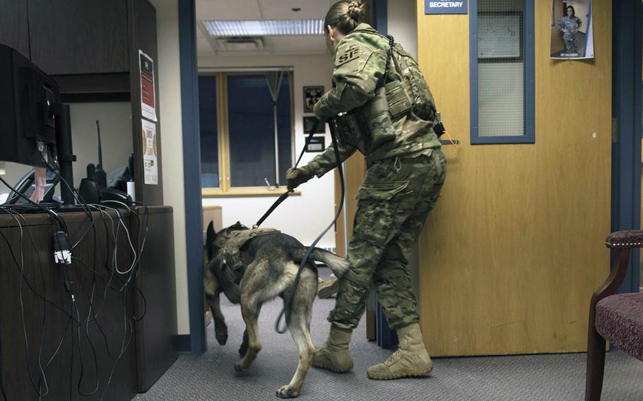 An airman guides her military working dog into a room during an exercise at Eielson Air Force Base, Alaska, Oct. 23, 2018.