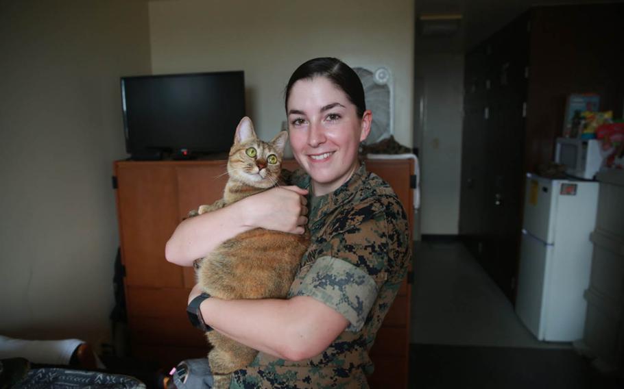 An April Fools' Day prank by the III Marine Expeditionary Force announced that Marines living in the barracks will be allowed to keep one pet if they submit a package to their chain of command and complete a class, Pet Care and Training 100.1.