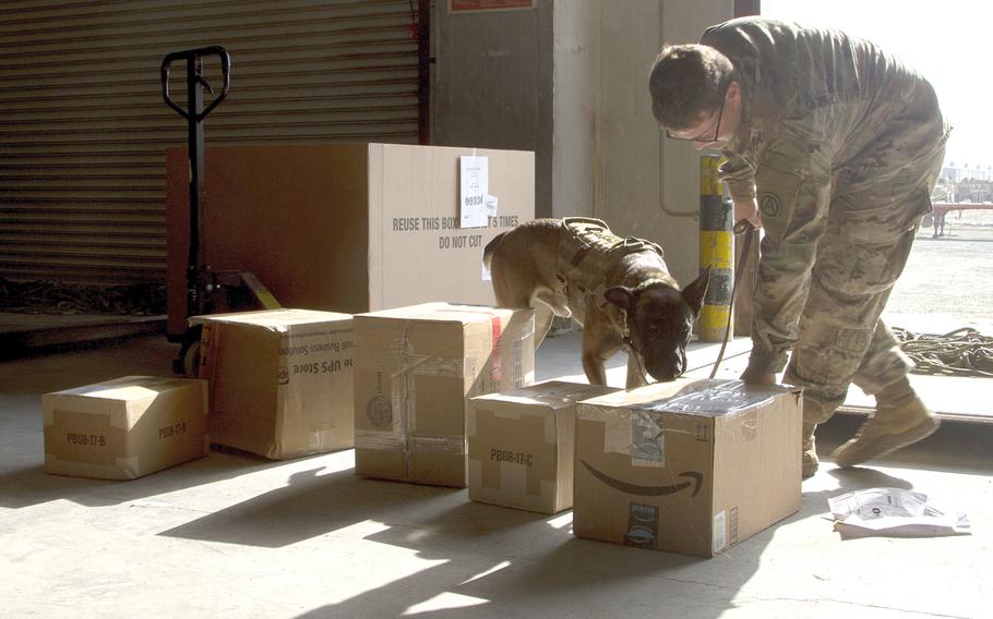 Military working dog Roger sniffs mail for contraband at Joint Military Mail Terminal, Camp Arifjan, Kuwait, Dec. 1, 2017.