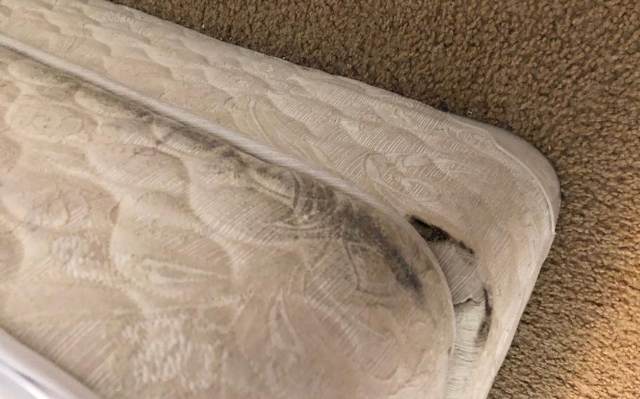 Mold growing in Tamara Terry's home in Fort Bragg, N.C., moved from the walls to her furniture, the Army spouse said. 