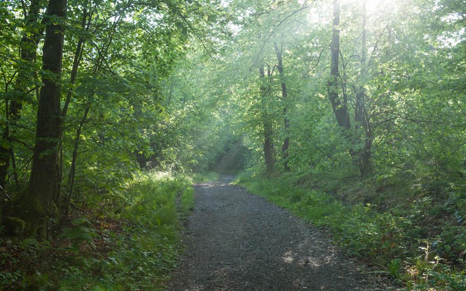 Some of the paths to the top of the Rauher Kulm mountain in Germany's state of Bavaria are well-maintained. But the final stretch to the summit will be craggy and winding no matter which path you choose. 

